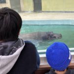 「冬の動物園は見応えがない」