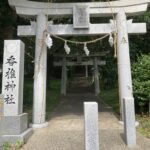 都会にとって木は邪魔者だから都会はエネルギーを感じない