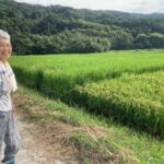 都会には都会の暮らし方がある 自分の置かれた場所でどうやって生きていくか